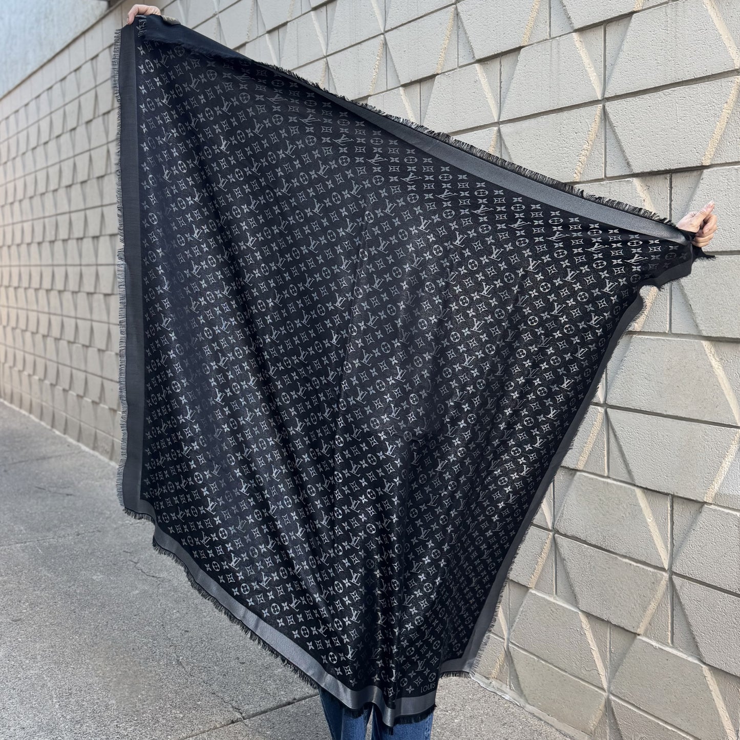 Louis Vuitton Silk Blend Shine Scarf