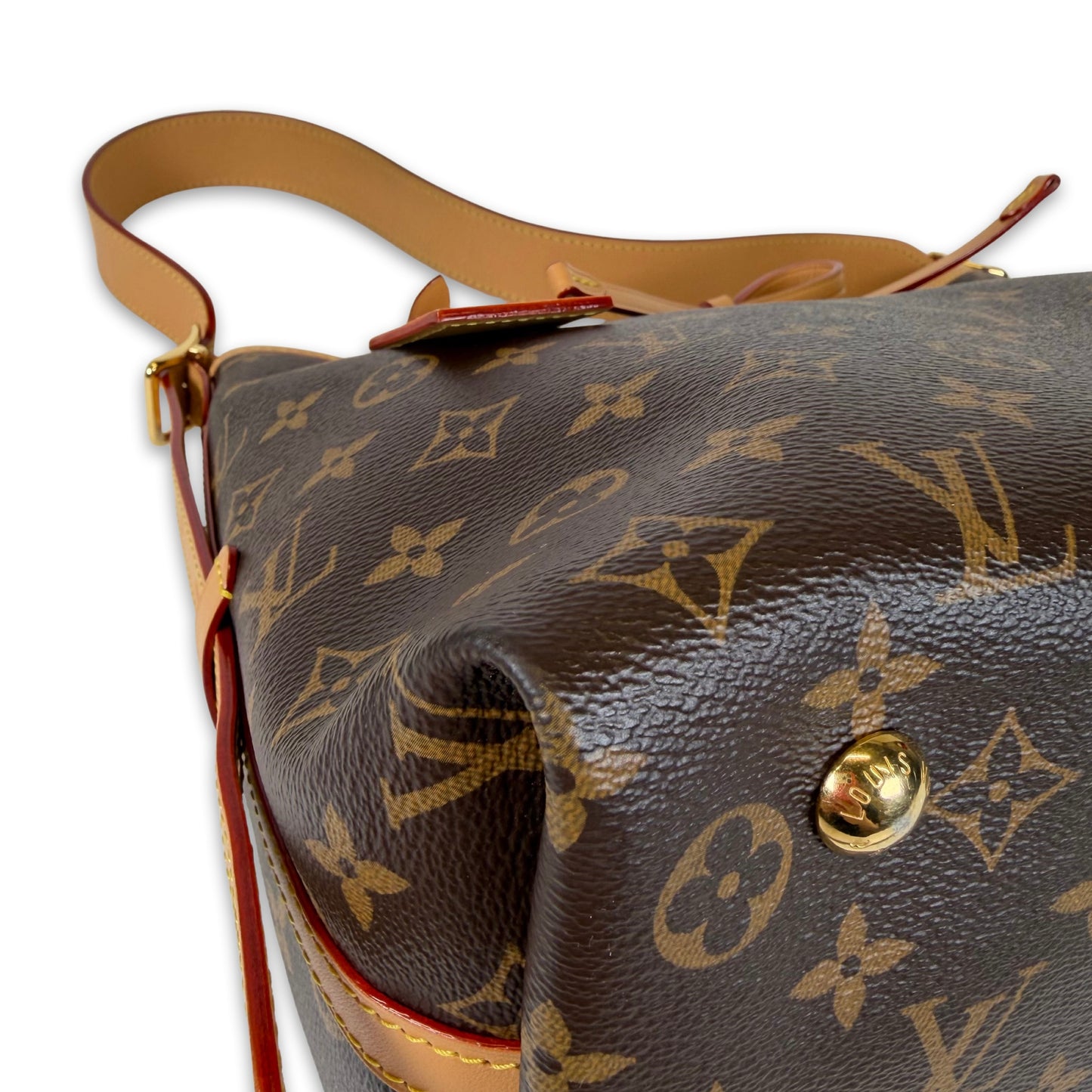 Louis Vuitton CarryAll MM Bag