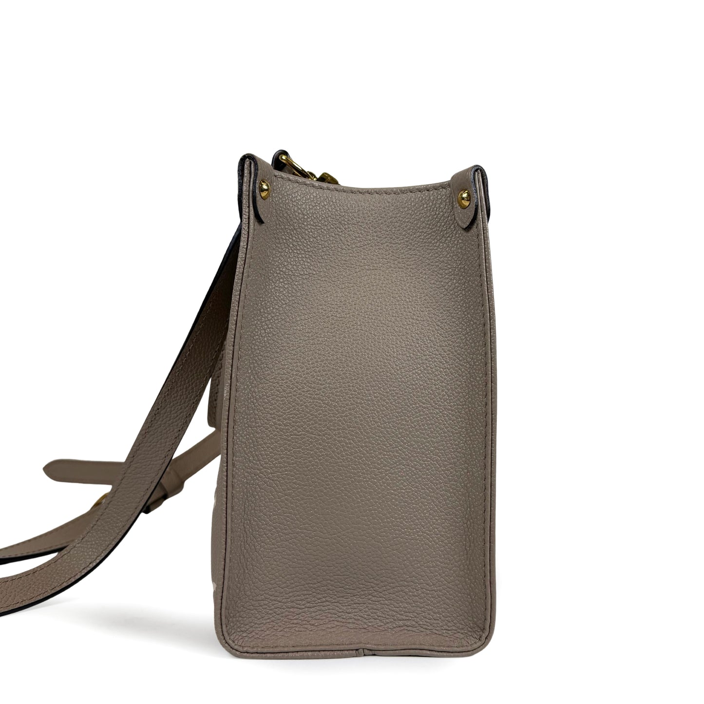 Louis Vuitton OnTheGo Bicolor PM Bag
