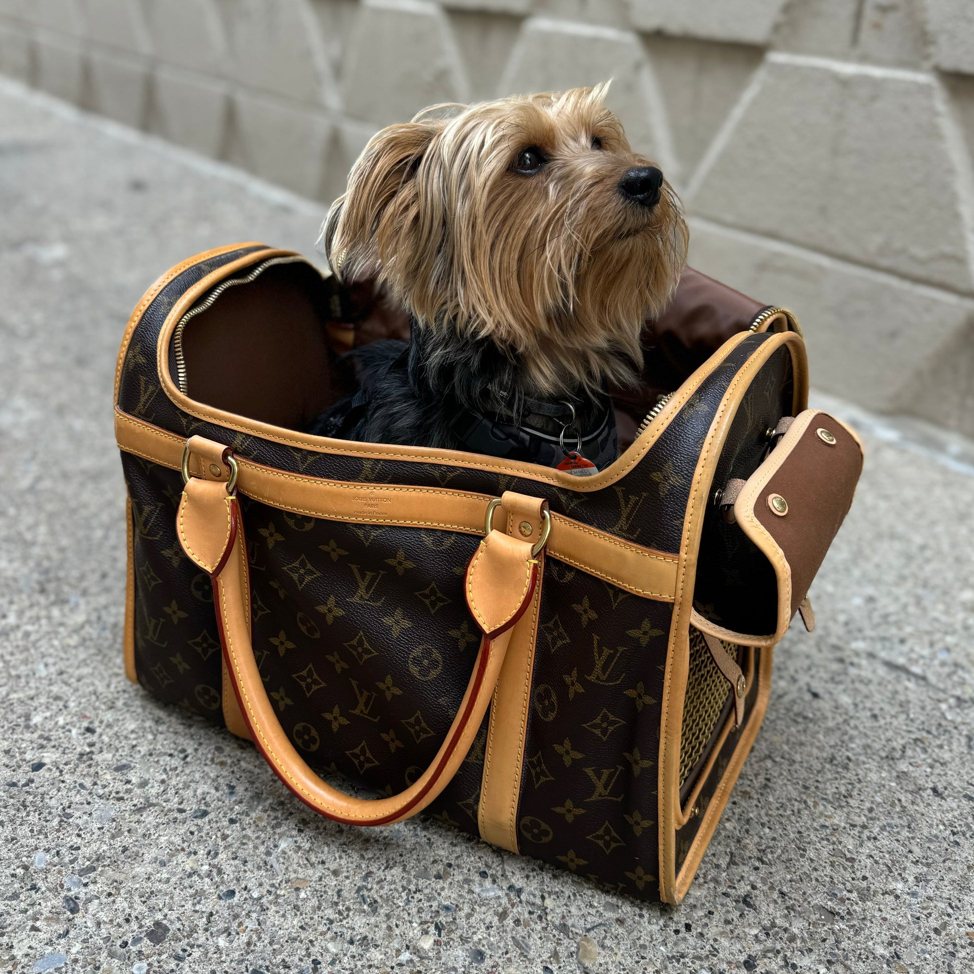 HOT Dog Bag Vuitton Sac Chien Dog Carrier Bag Louis Vuitton