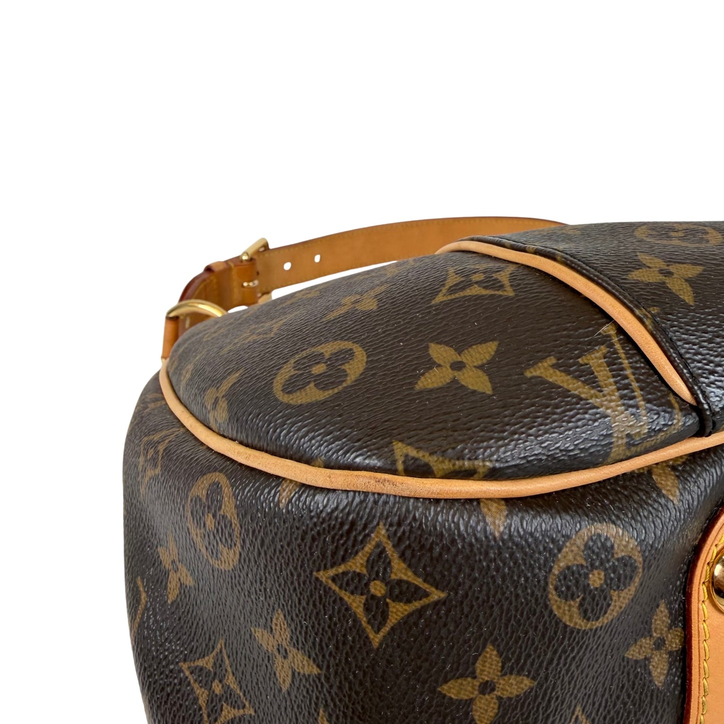 Louis Vuitton Galleria PM Bag