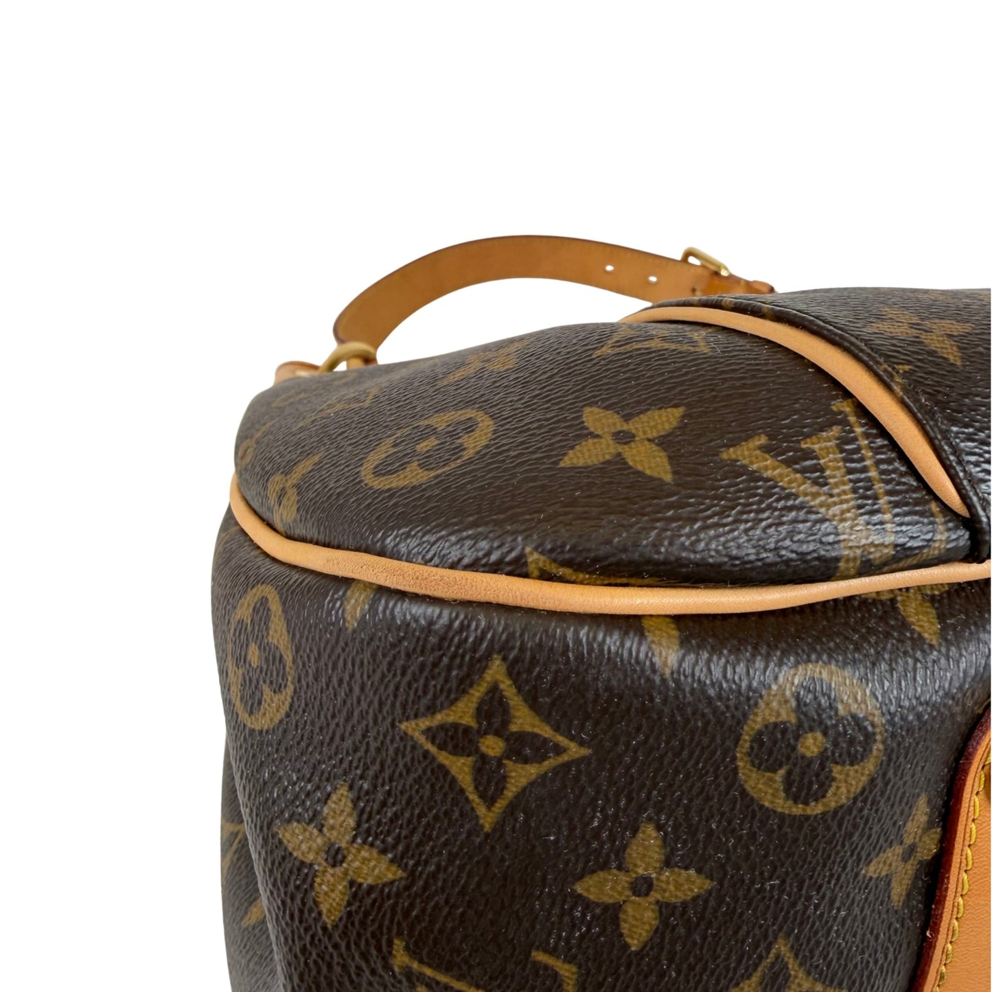 Louis Vuitton Galleria PM Bag