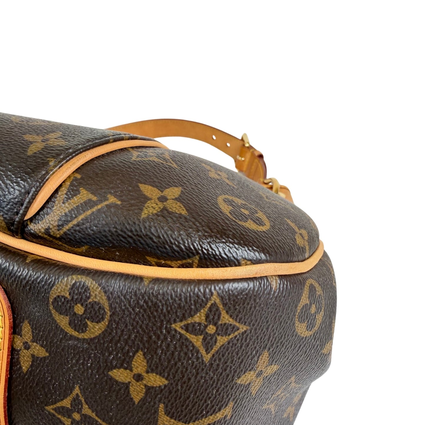 Louis Vuitton Galleria PM Bag