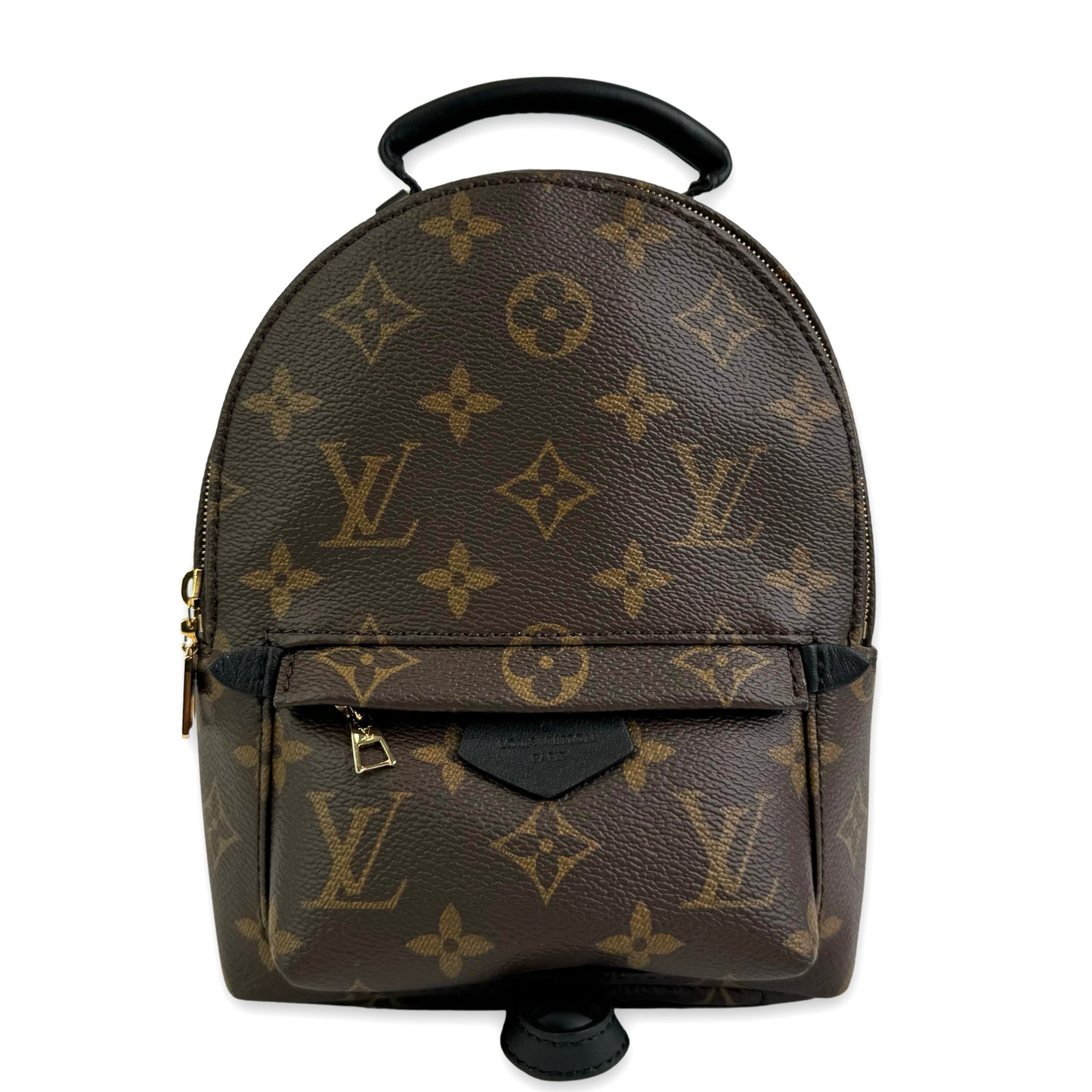 Louis Vuitton Palm Springs Mini Backpack