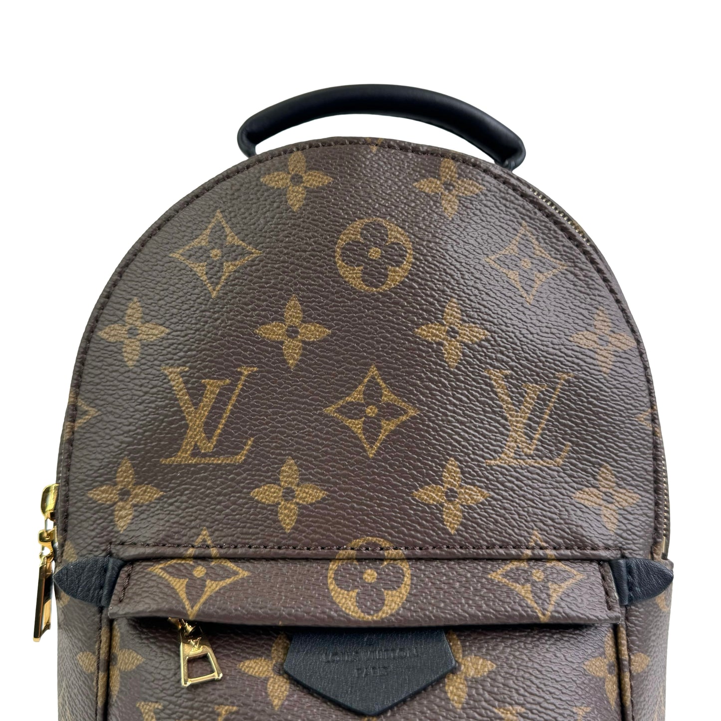 Louis Vuitton Palm Springs Mini Backpack