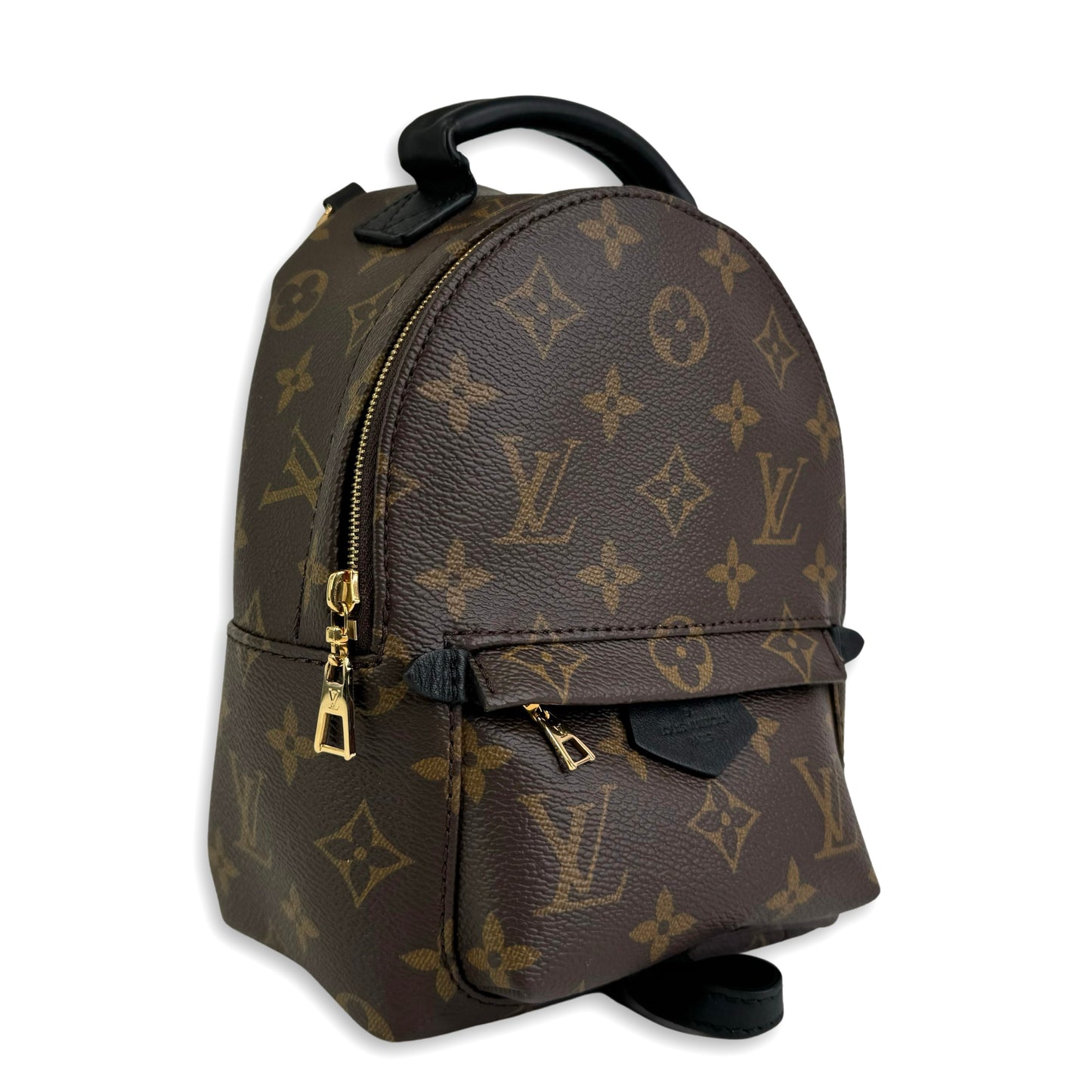 Louis Vuitton Palm Springs Mini Backpack