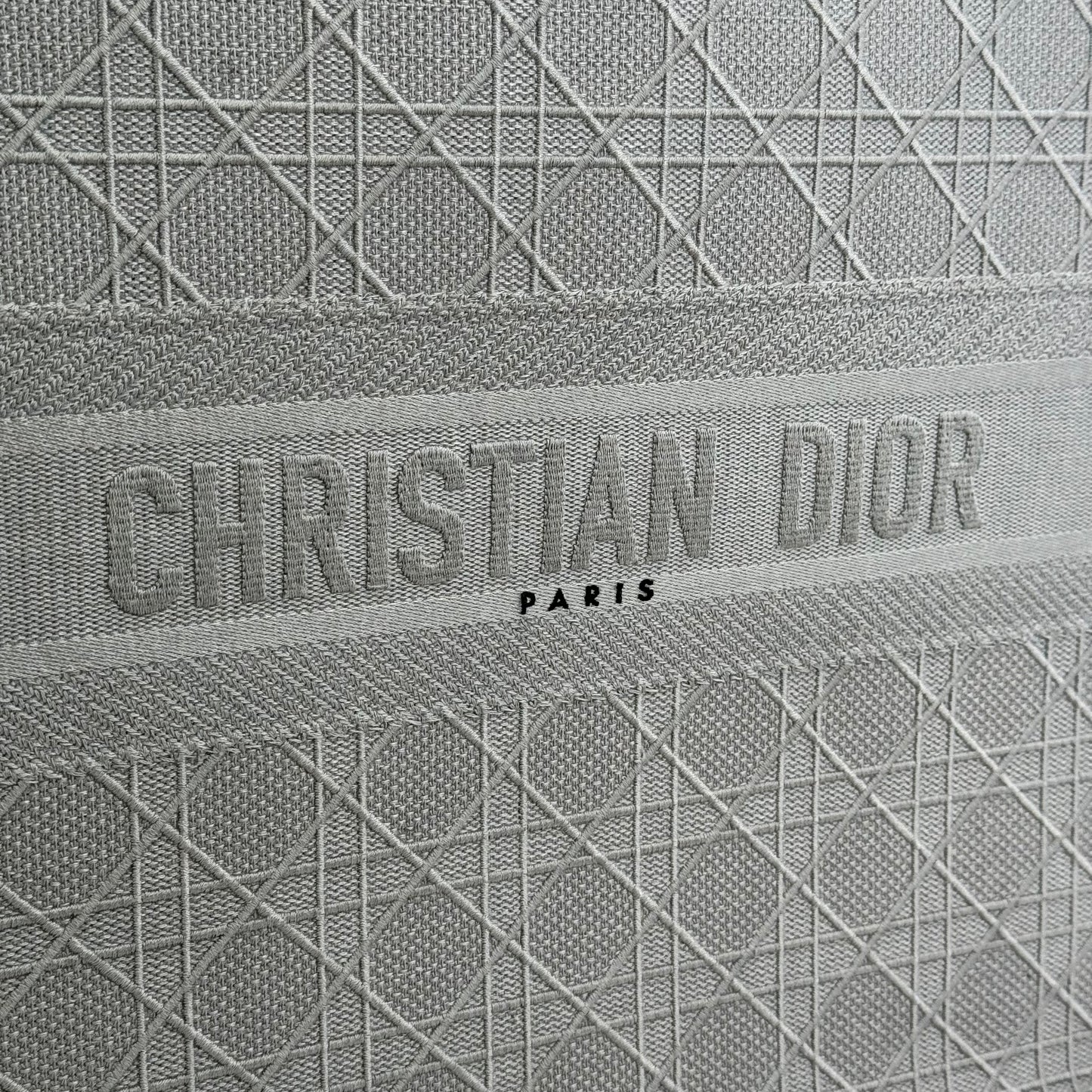 Christian Dior Large Book Tote Bag