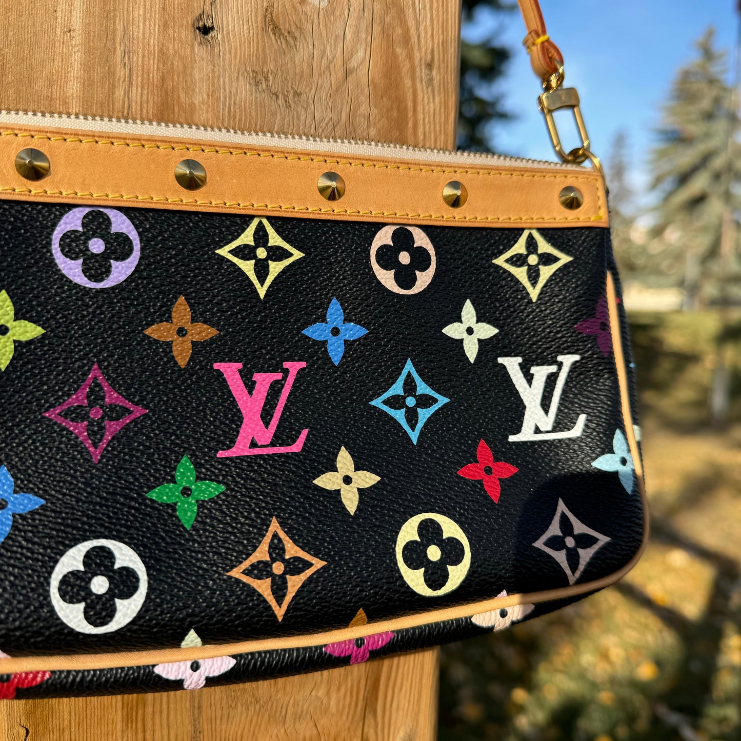 Louis Vuitton Multicolor Monogram Pochette