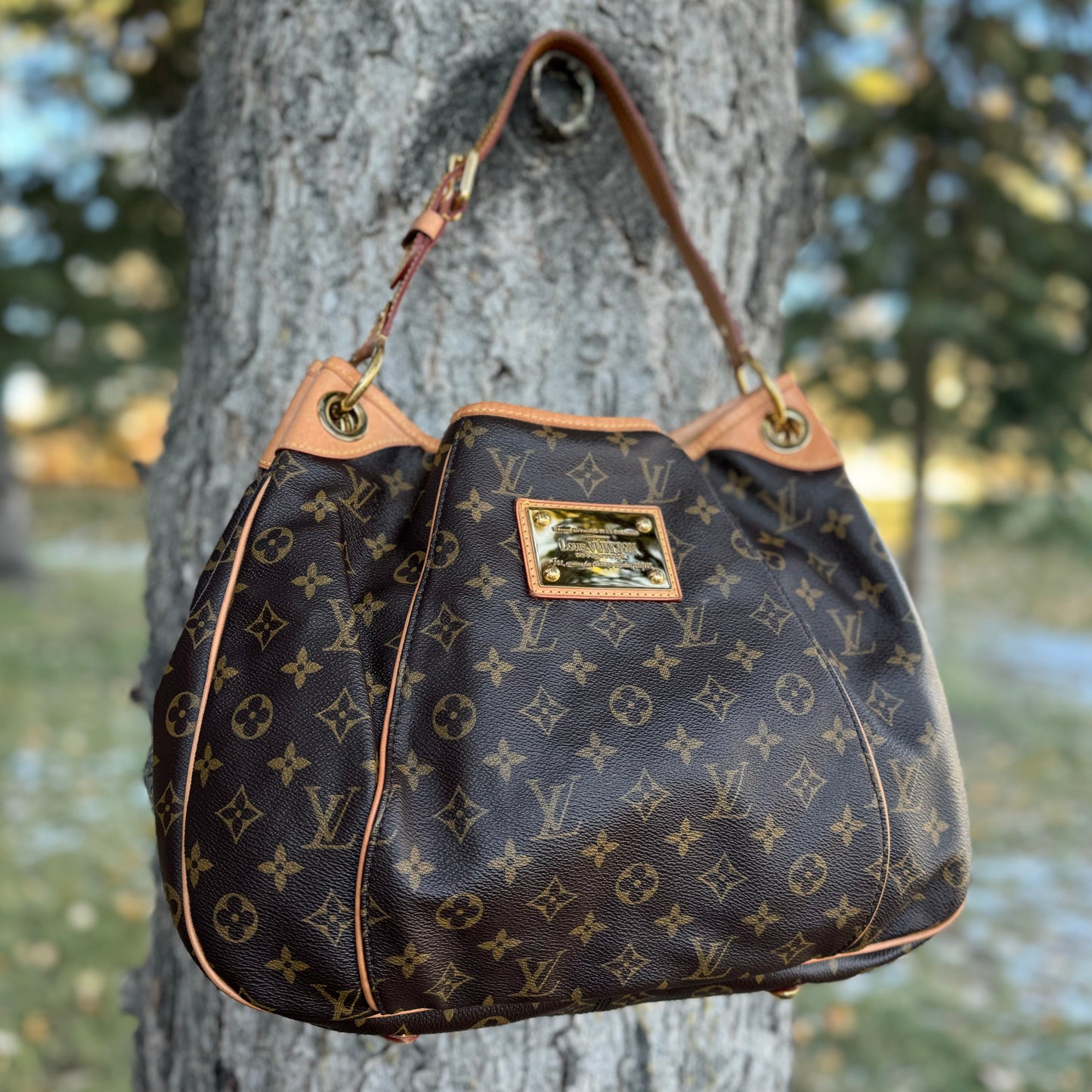 Louis Vuitton Galleria PM Bag