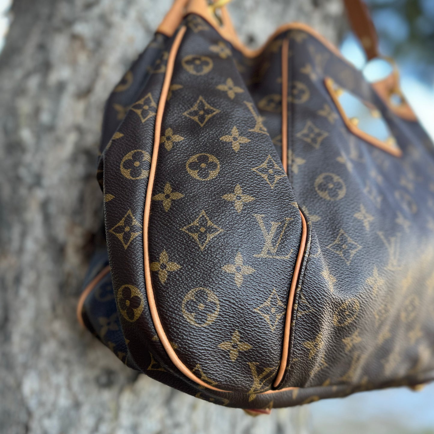 Louis Vuitton Galleria PM Bag