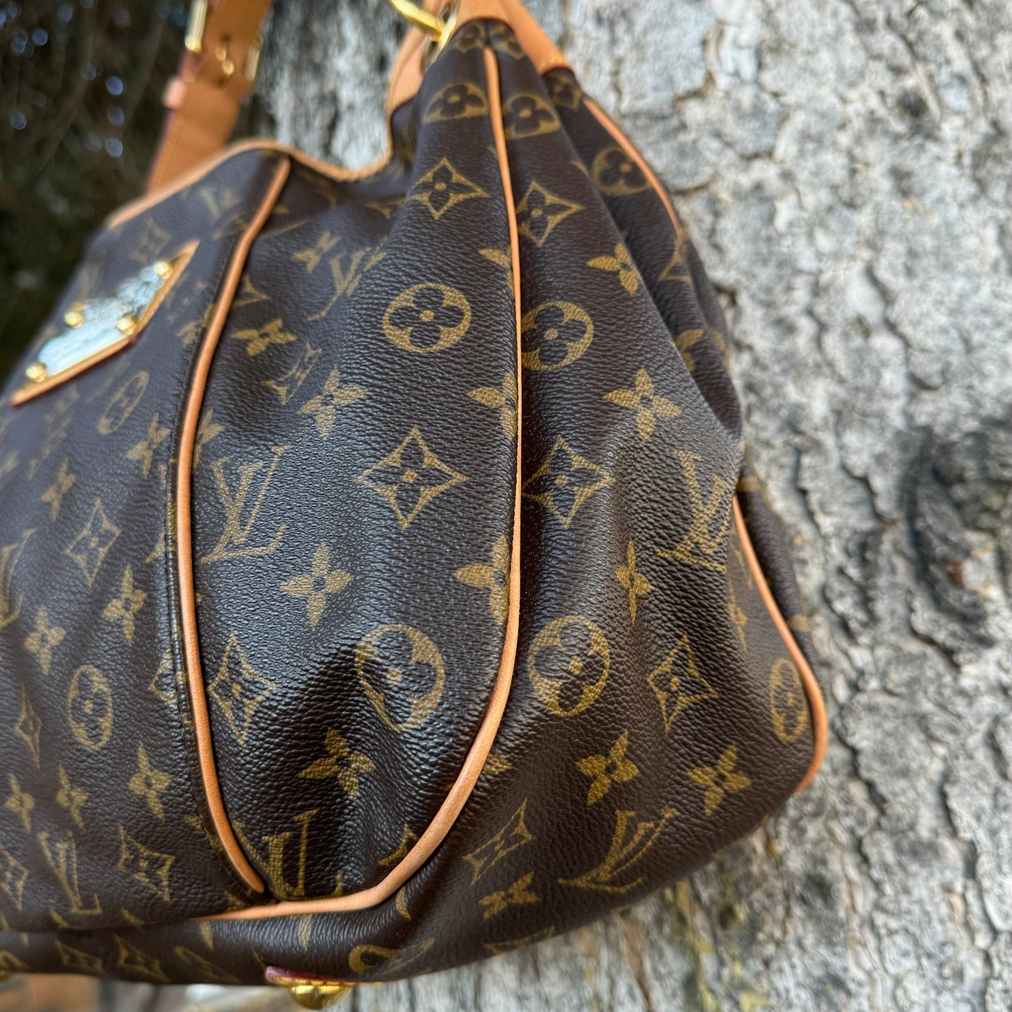 Louis Vuitton Galleria PM Bag