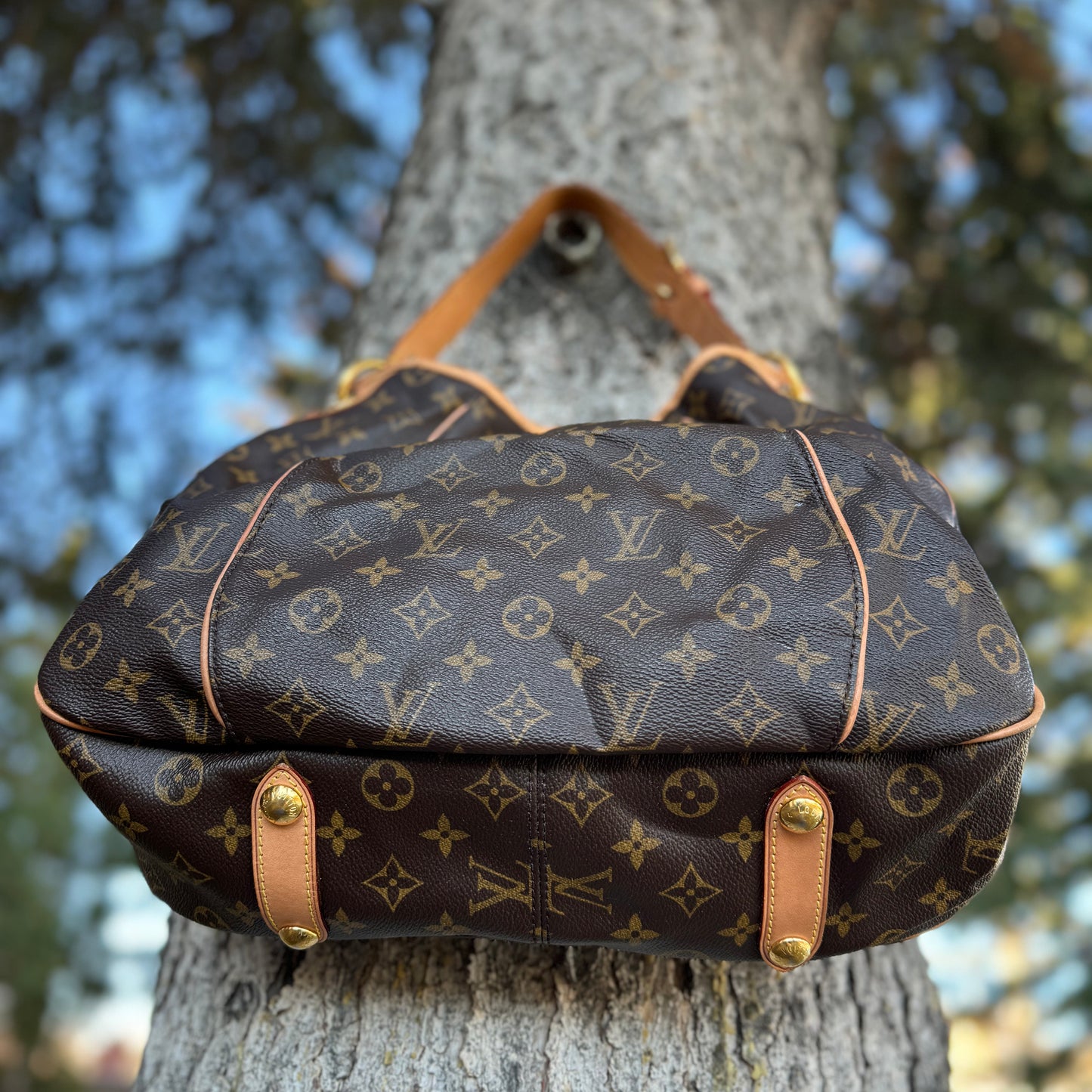 Louis Vuitton Galleria PM Bag