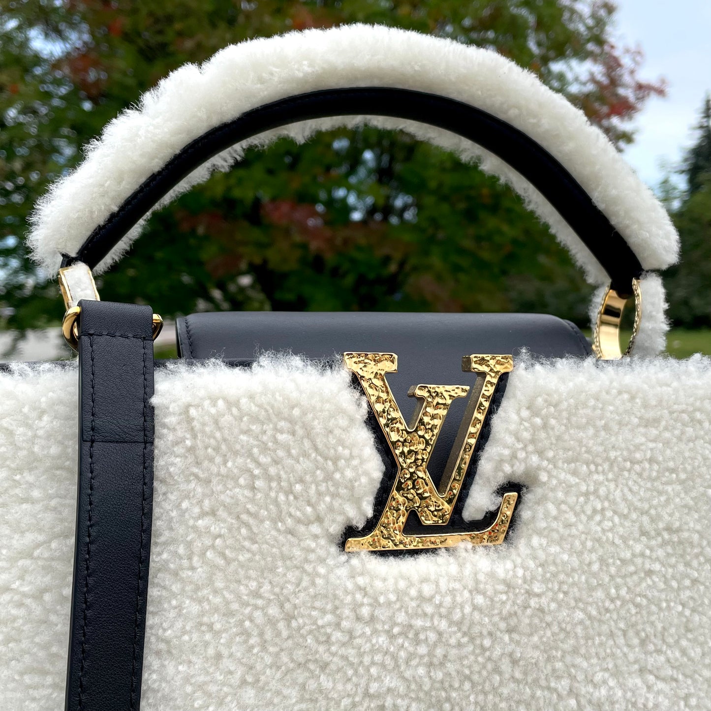 Louis Vuitton Capucine PM Teddy Fleece Top Handle Shoulder Bag White