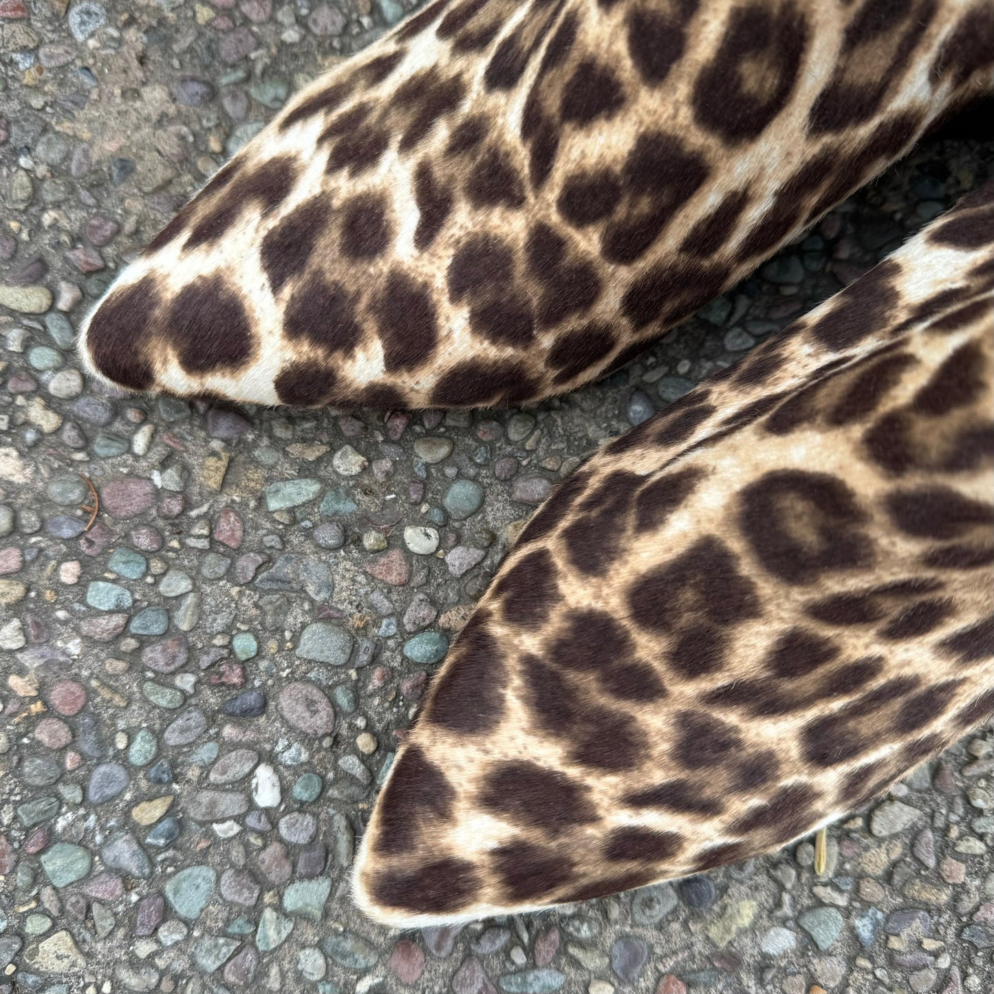 Alexander Wang Jude Leopard Ankle Boots