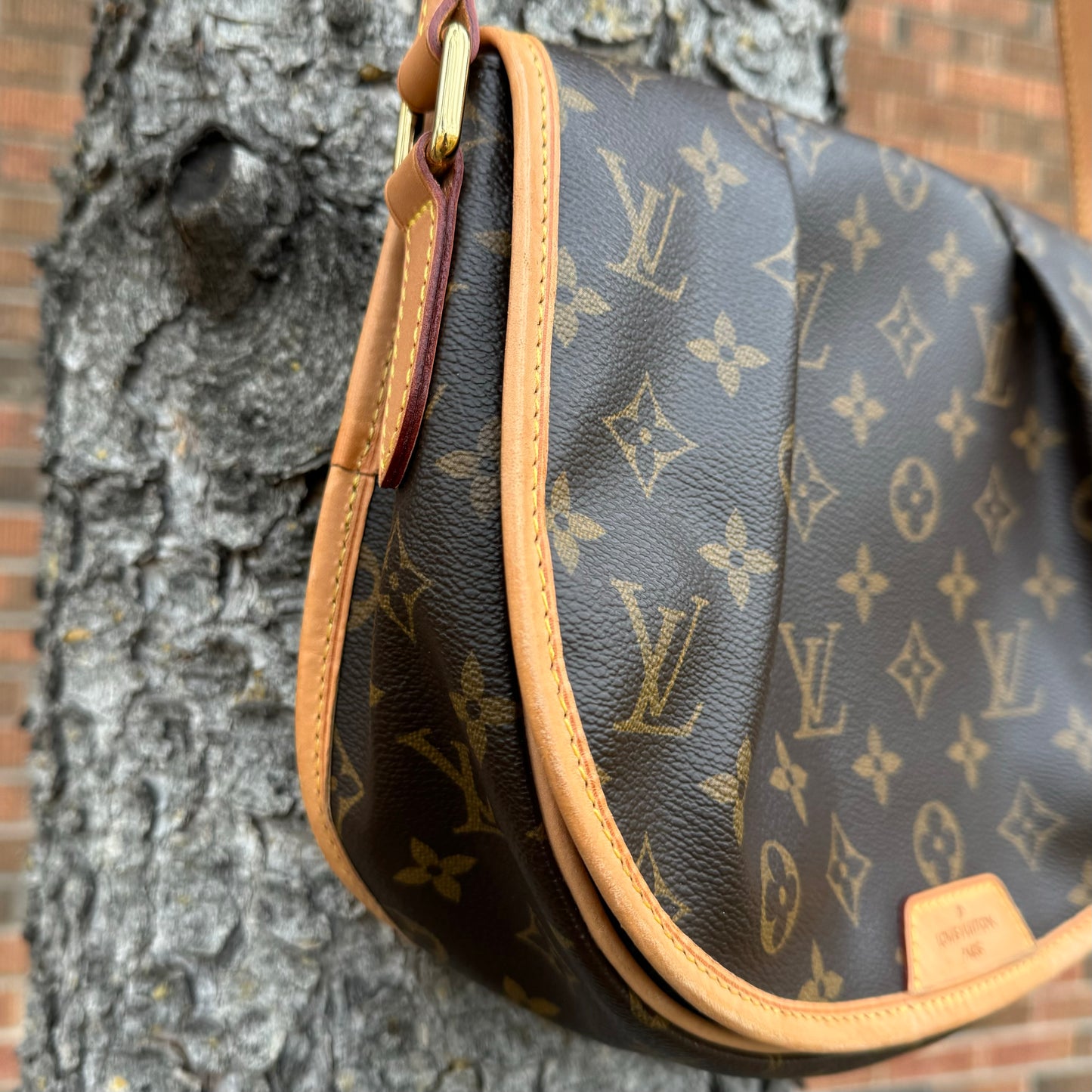 Louis Vuitton Menilmontane MM Bag