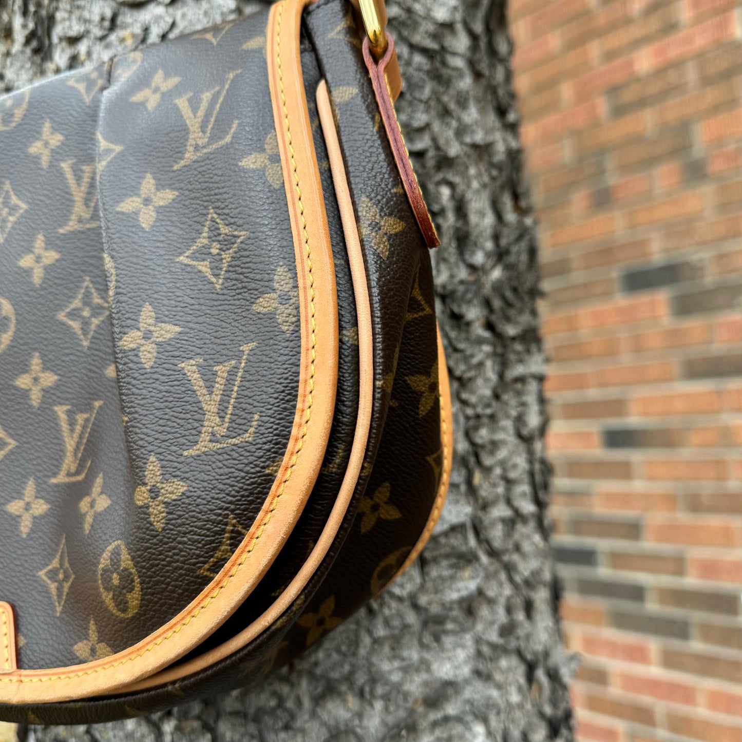 Louis Vuitton Menilmontane MM Bag