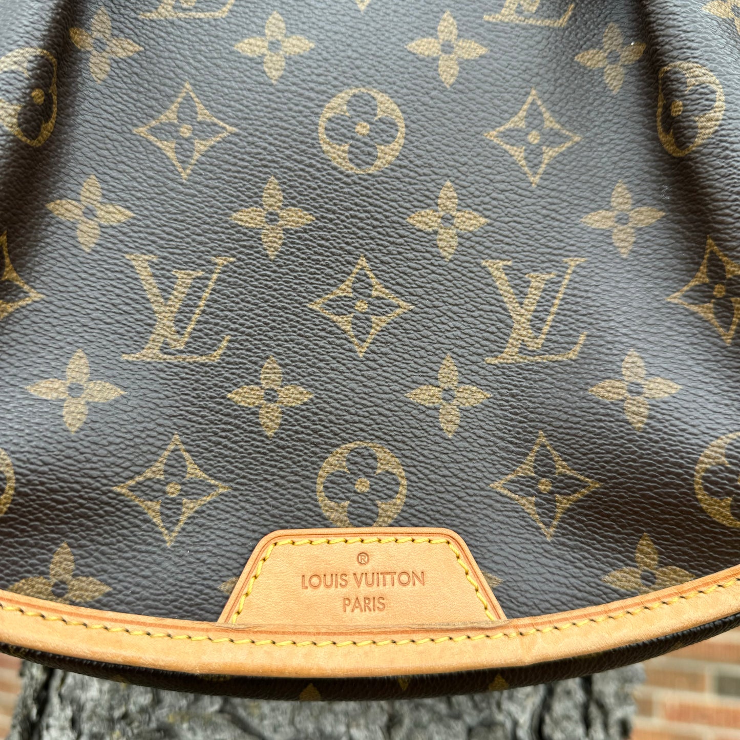 Louis Vuitton Menilmontane MM Bag