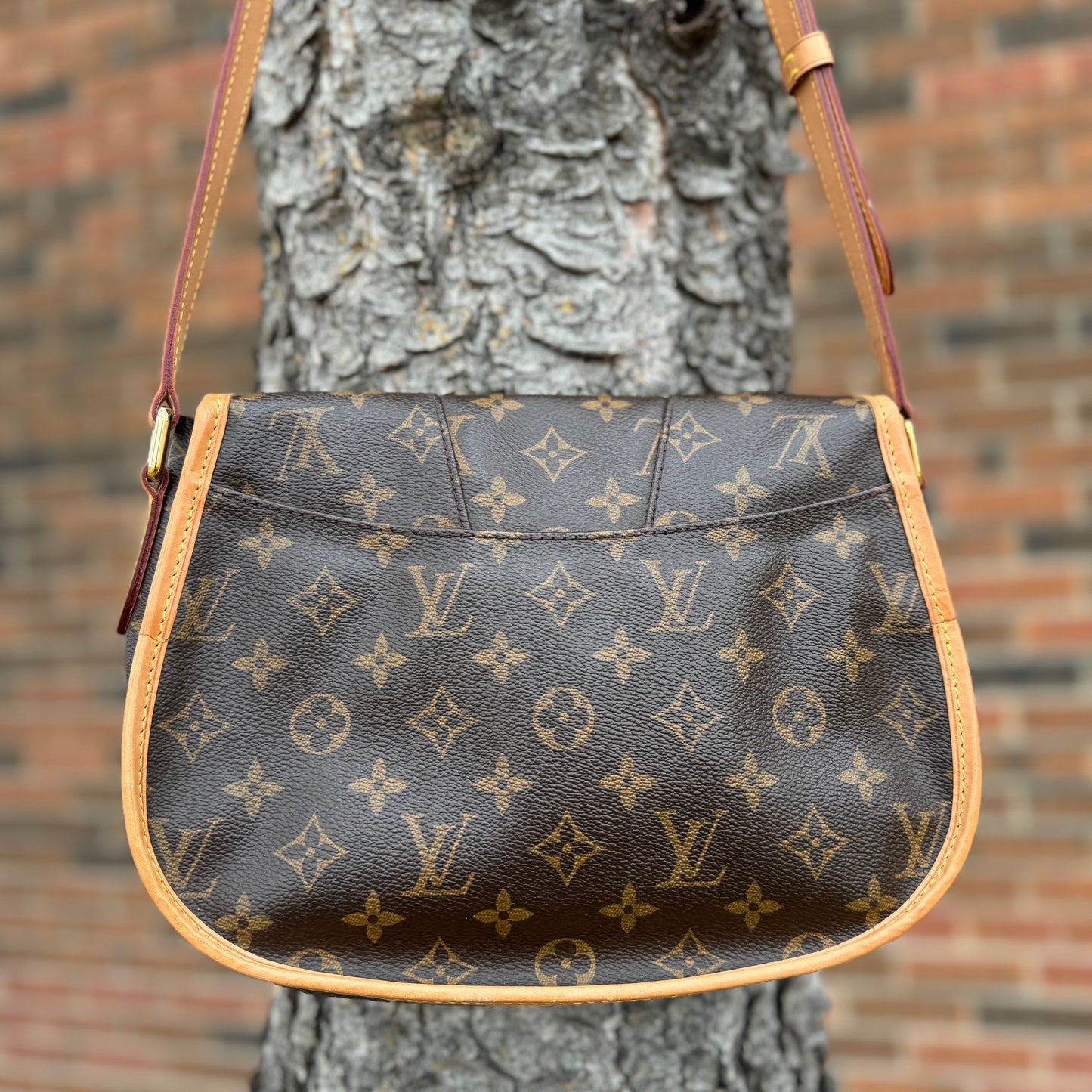 Louis Vuitton Menilmontane MM Bag