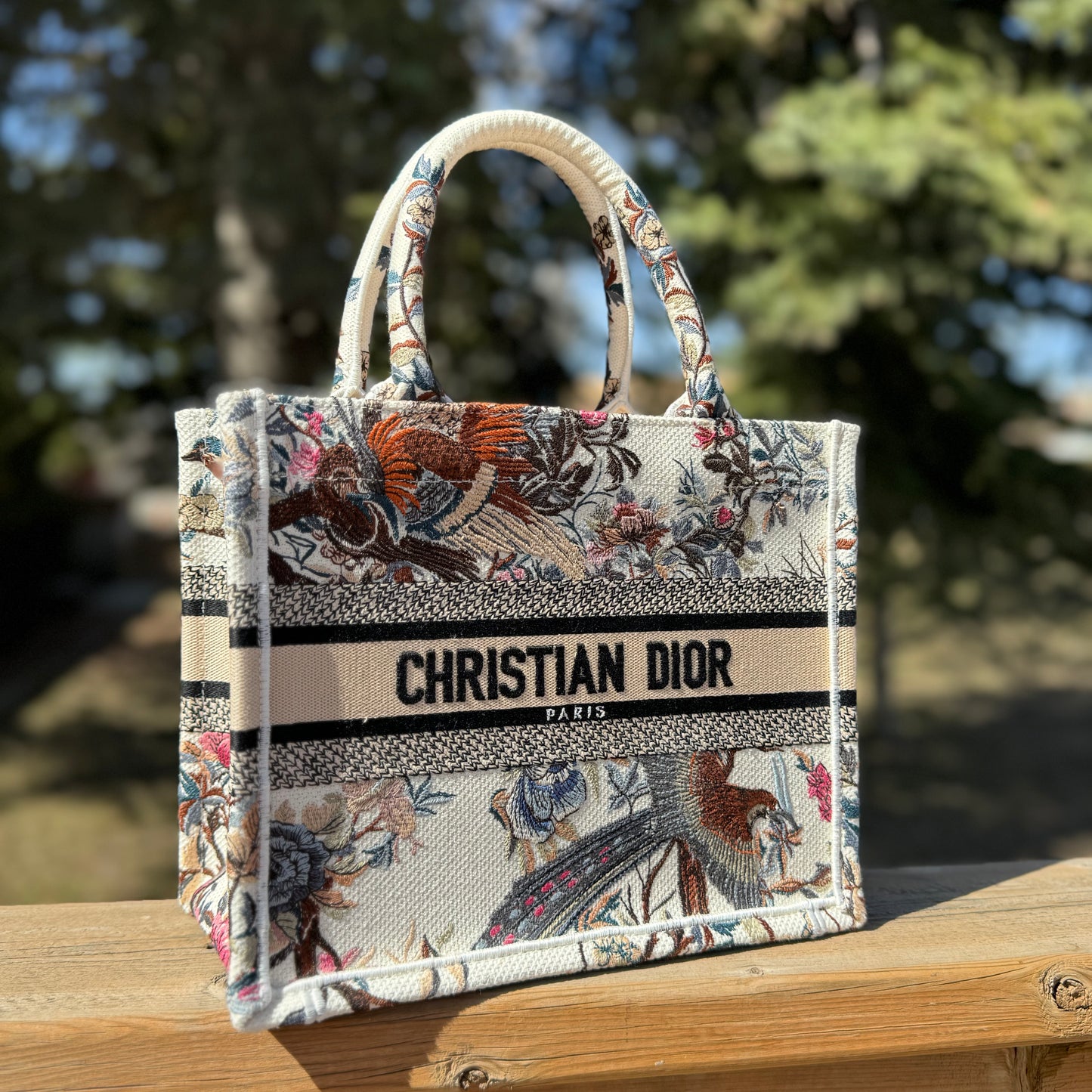 Christian Dior Jardin d'Hiver' Small Book Tote
