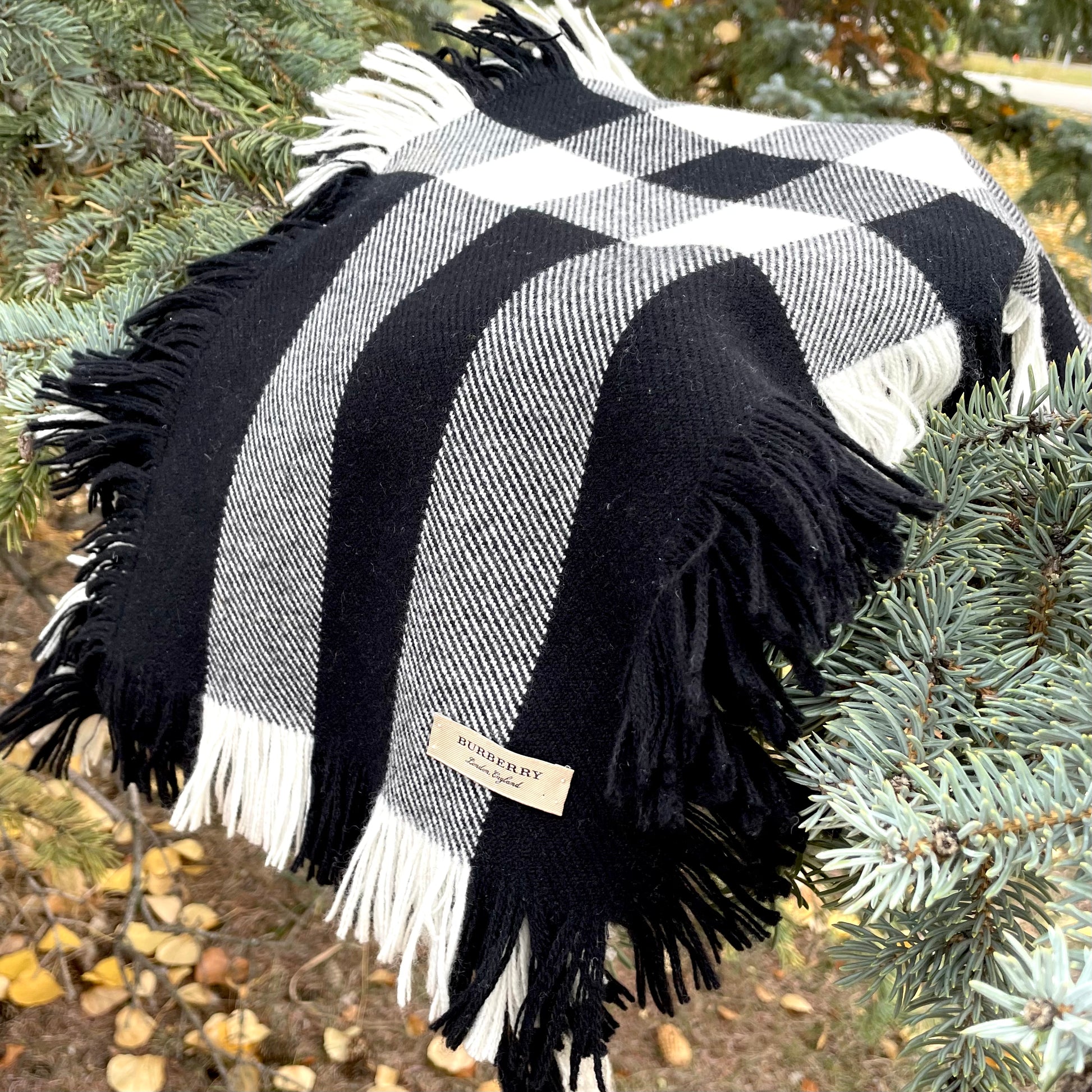 Burberry Fringe Wool Scarf