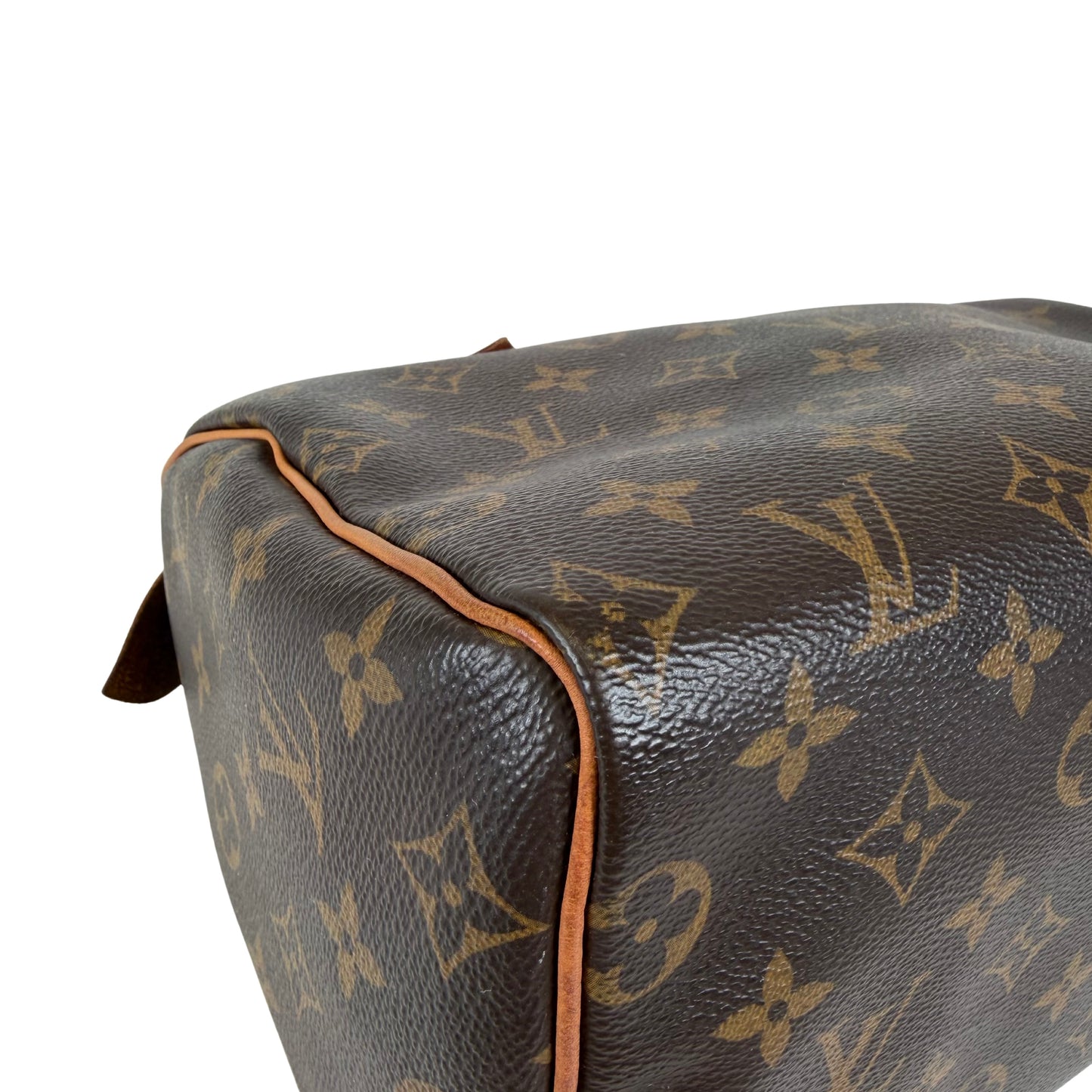 Louis Vuitton Speedy 25 Bag