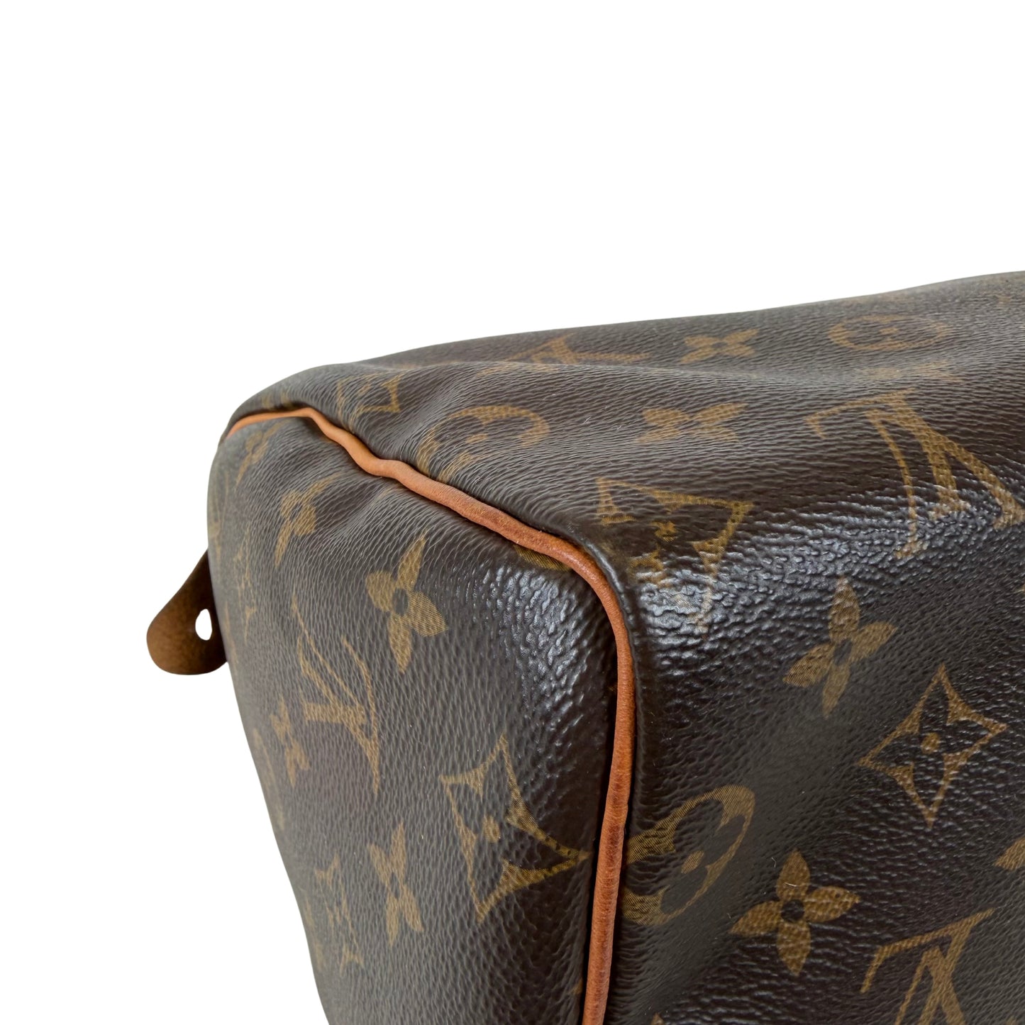 Louis Vuitton Speedy 25 Bag