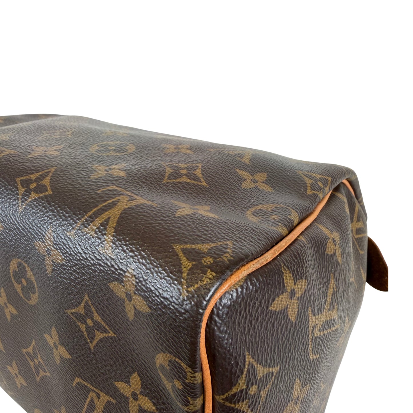 Louis Vuitton Speedy 25 Bag