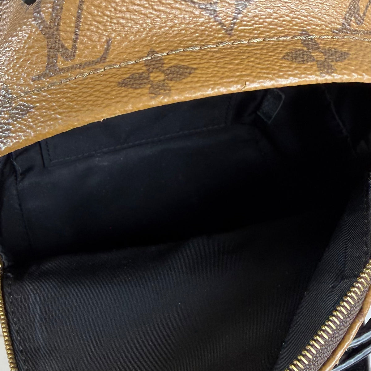 Louis Vuitton Palm Springs Mini Backpack