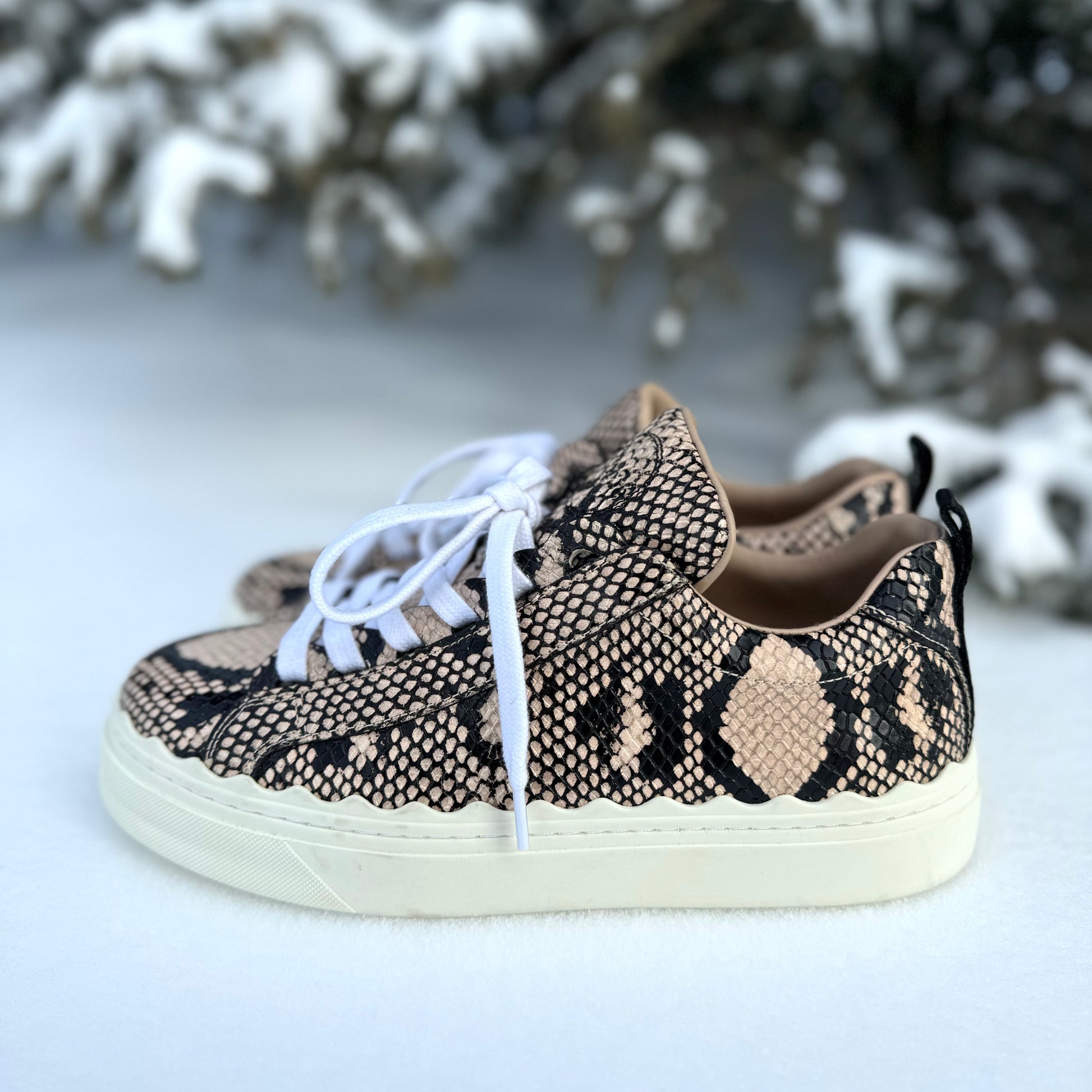 Chloe 2025 python sneakers