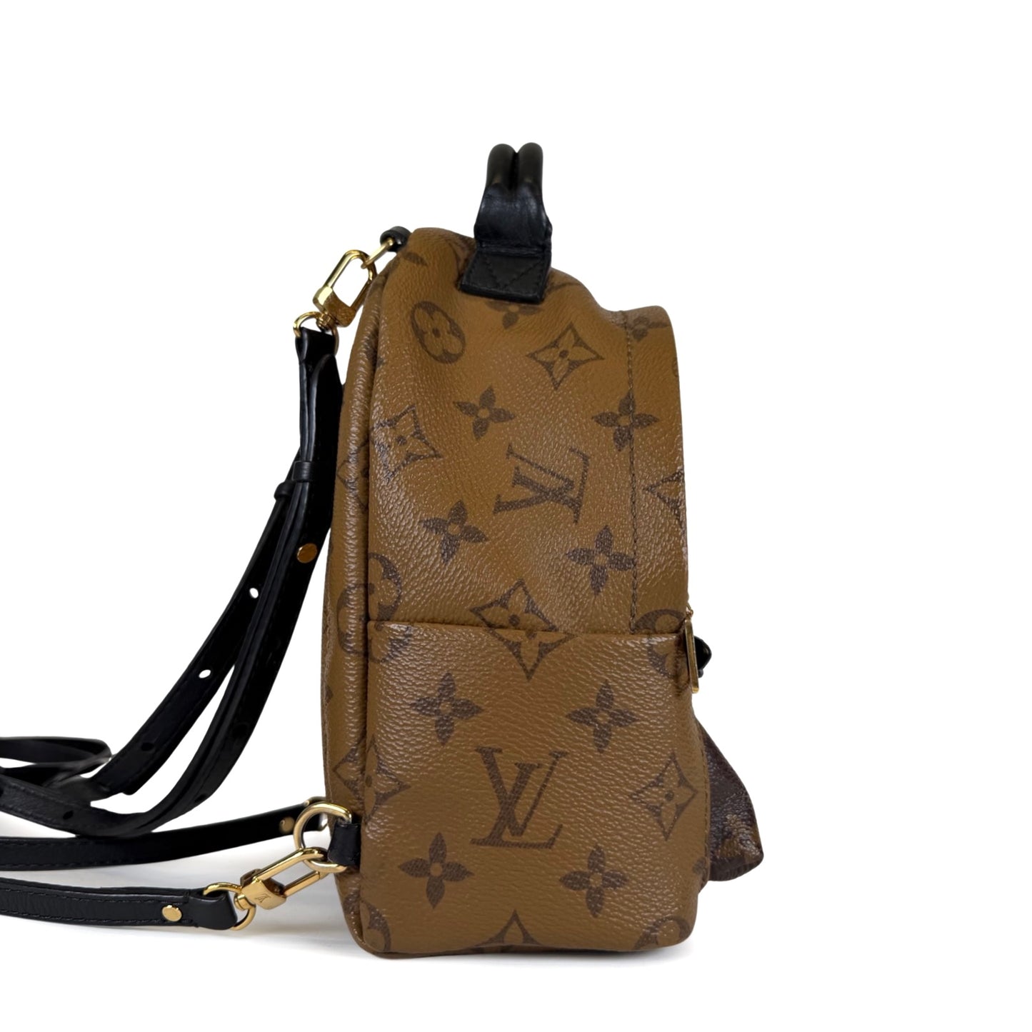 Louis Vuitton Palm Springs Mini Backpack