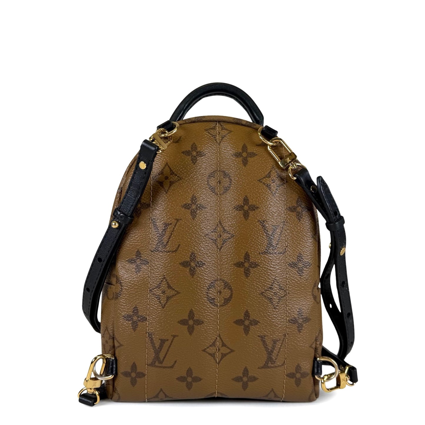 Louis Vuitton Palm Springs Mini Backpack