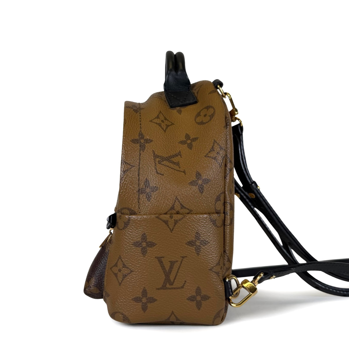 Louis Vuitton Palm Springs Mini Backpack