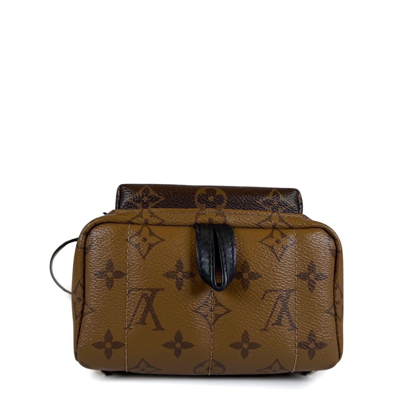 Louis Vuitton Palm Springs Mini Backpack