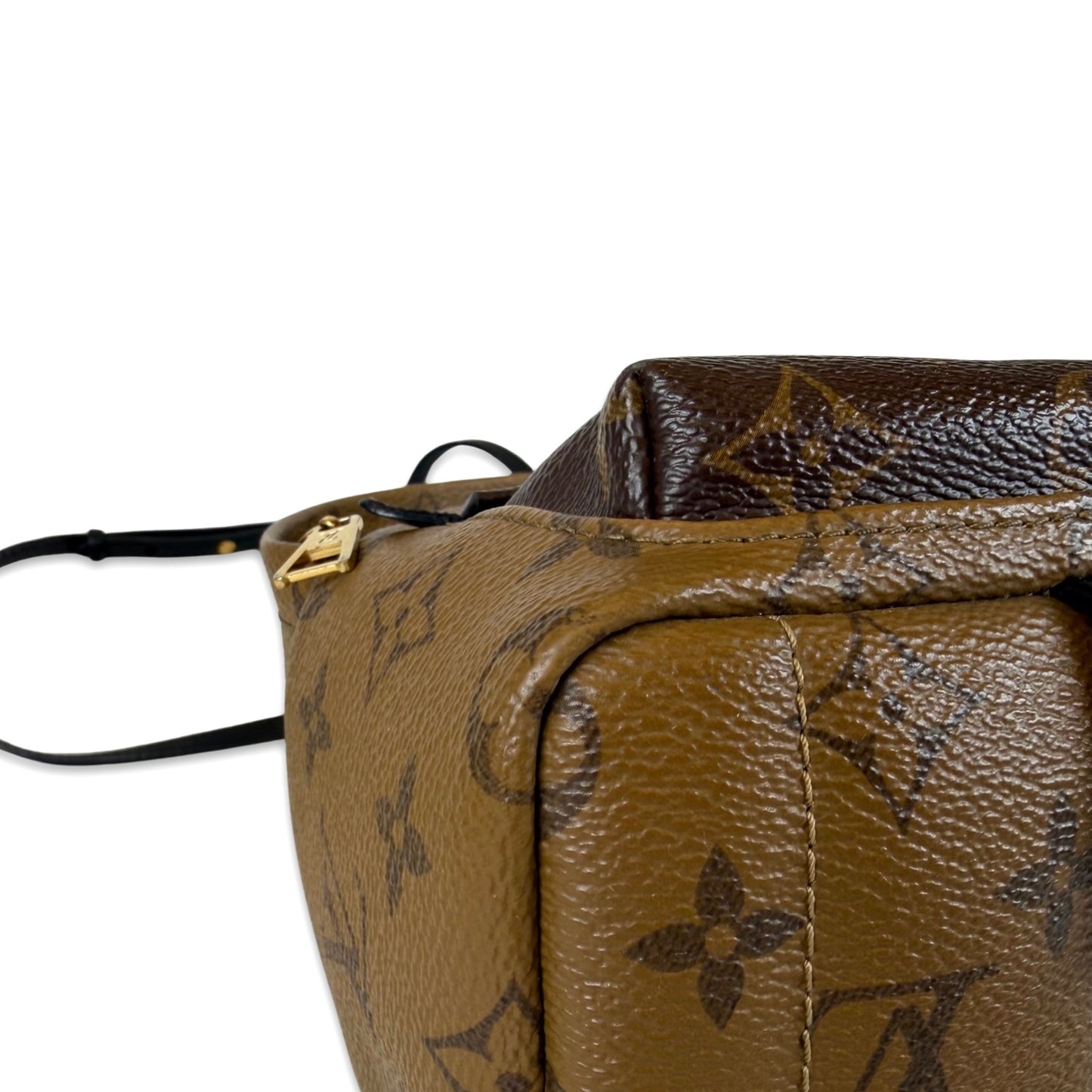 Louis Vuitton Palm Springs Mini Backpack