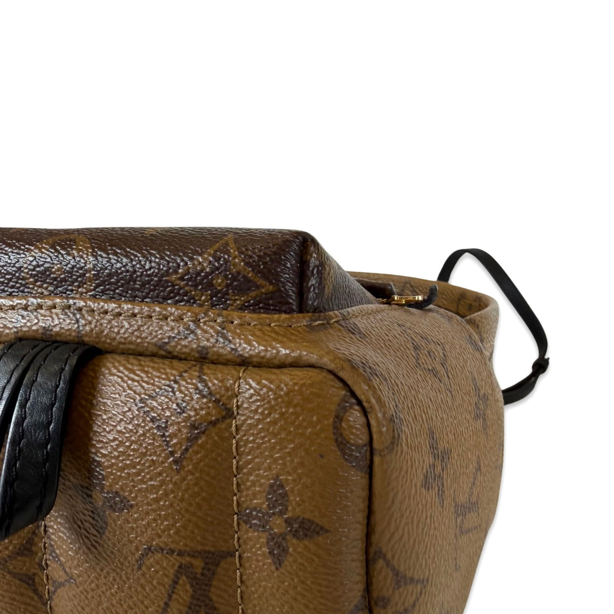Louis Vuitton Palm Springs Mini Backpack