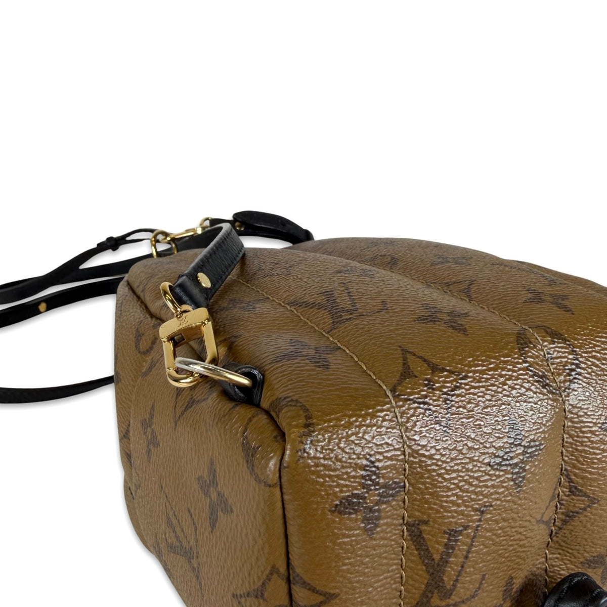 Louis Vuitton Palm Springs Mini Backpack