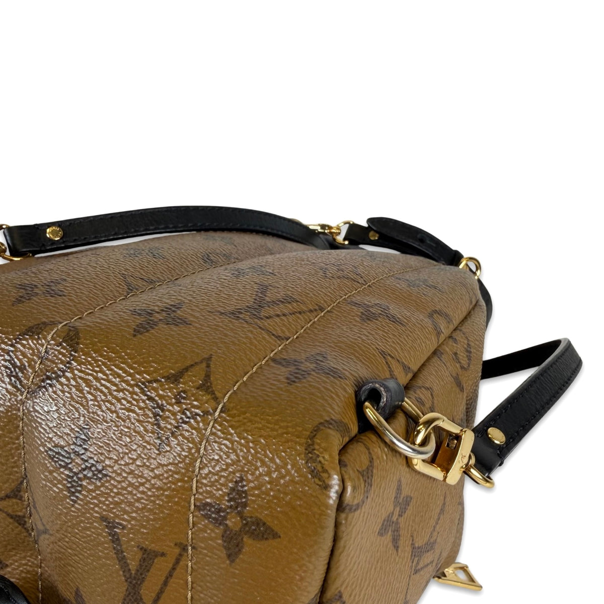 Louis Vuitton Palm Springs Mini Backpack